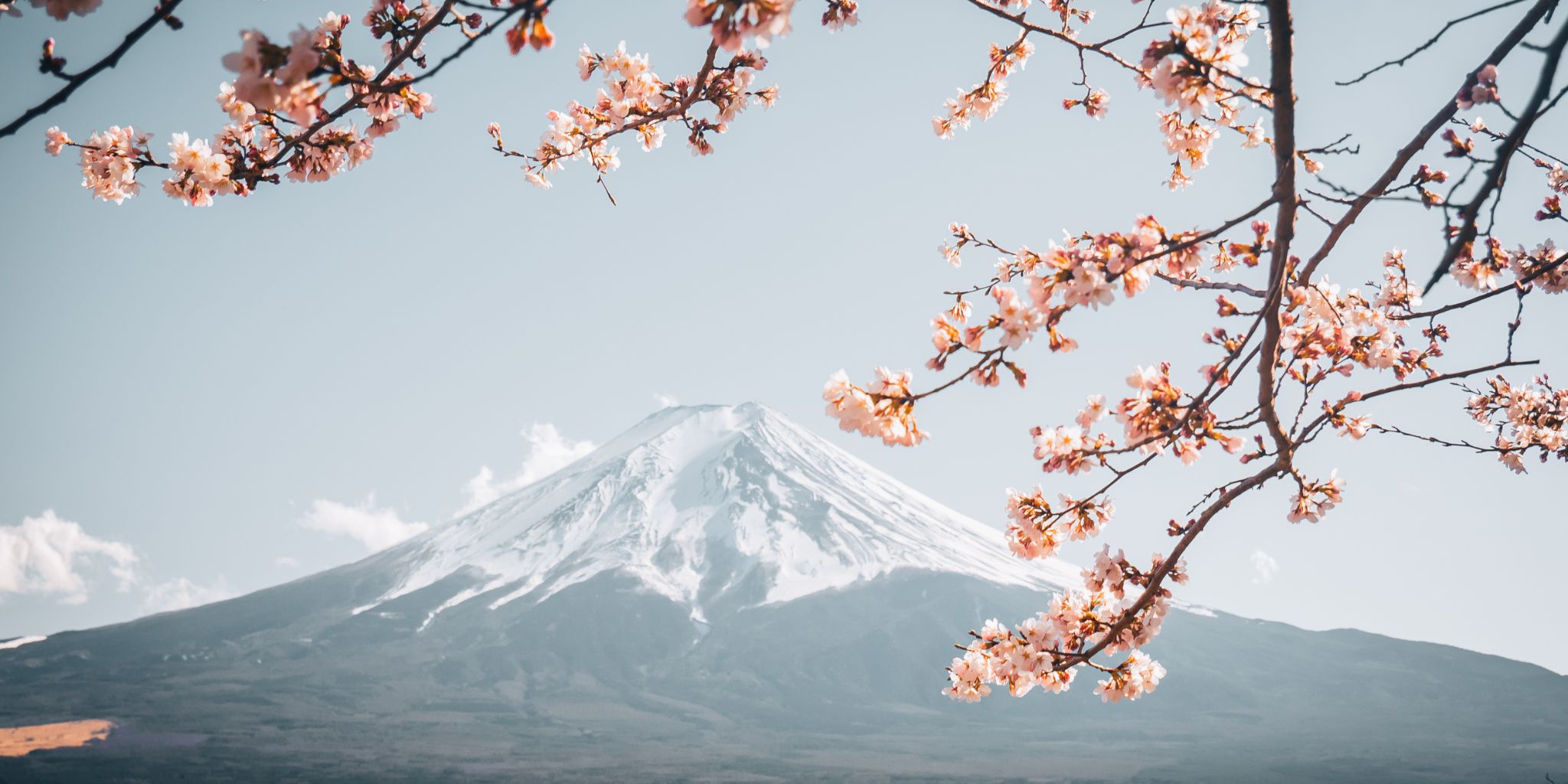 viajes a Japon desde Argentina